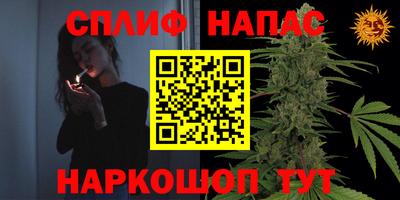 гашик Гусь-Хрустальный