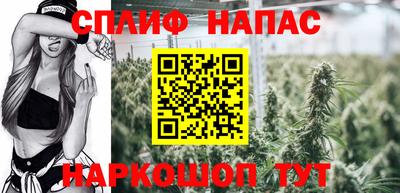 гашик Гусь-Хрустальный