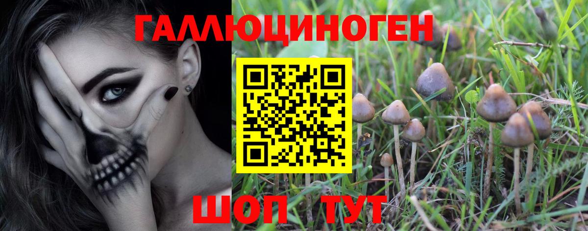 Галлюциногенные грибы мицелий  Галлюциногенные грибы мухоморы  Вход с VPN  Искитим 